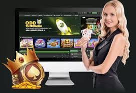 cricket bet